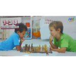 ערכת 3 ב-1 מעץ לילדים: שח-מט, דמקה ושש-בש מאת Ace toys